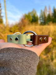 Custom Dog Collar