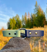 Custom Dog Collar