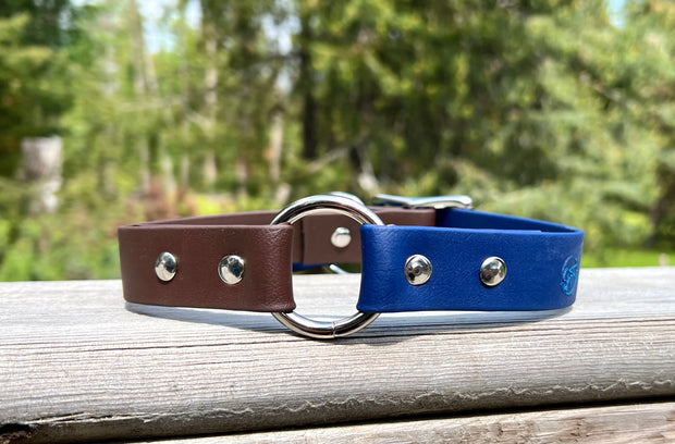 Custom Dog Collar