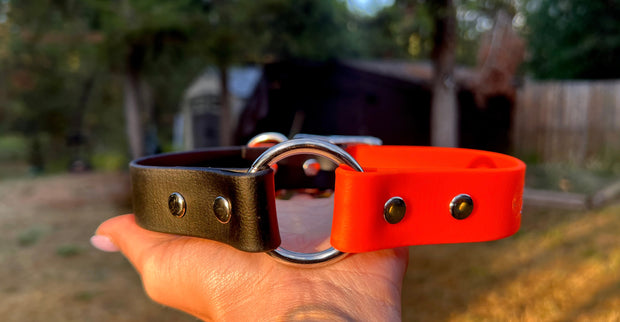 Custom Dog Collar