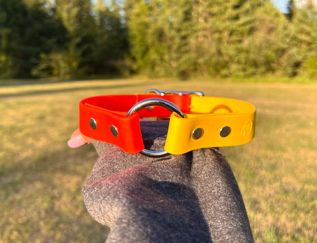 Custom Dog Collar