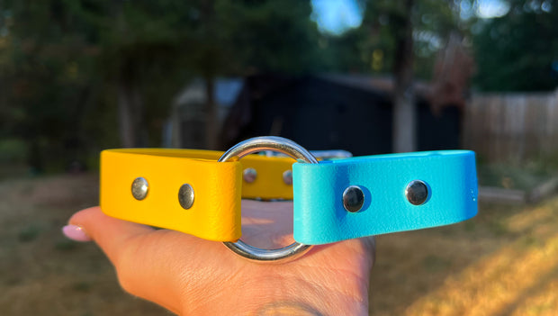 Custom Dog Collar