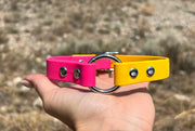 Custom Dog Collar