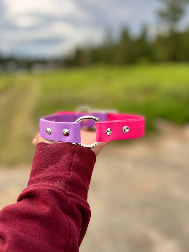 Custom Dog Collar