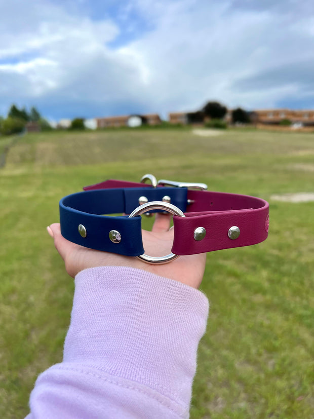 Custom Dog Collar