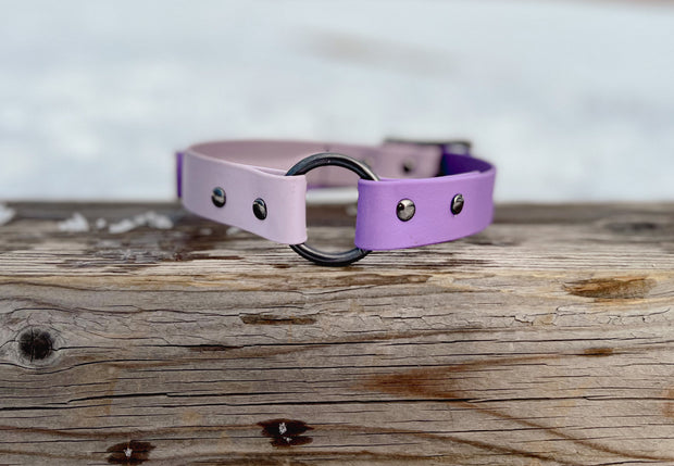 Custom Dog Collar